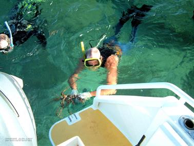 Snorkelling for Crays 20km off Onslow, Western Australia